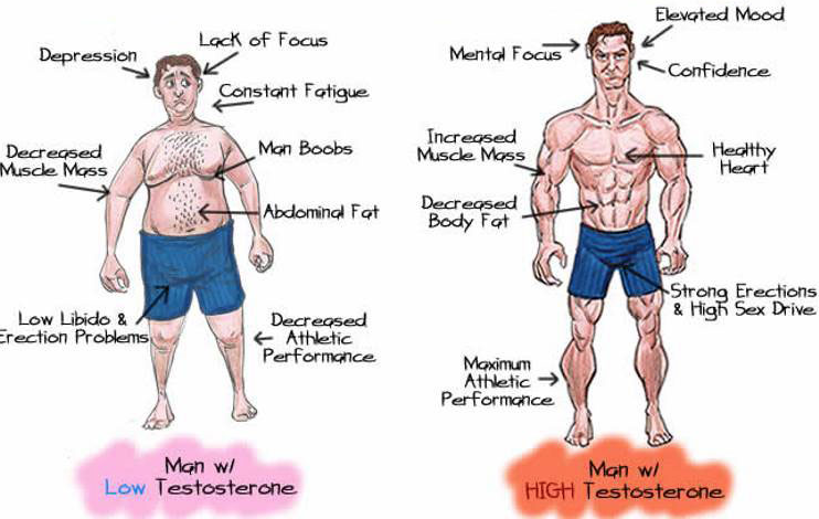 TALKING TESTOSTERONE